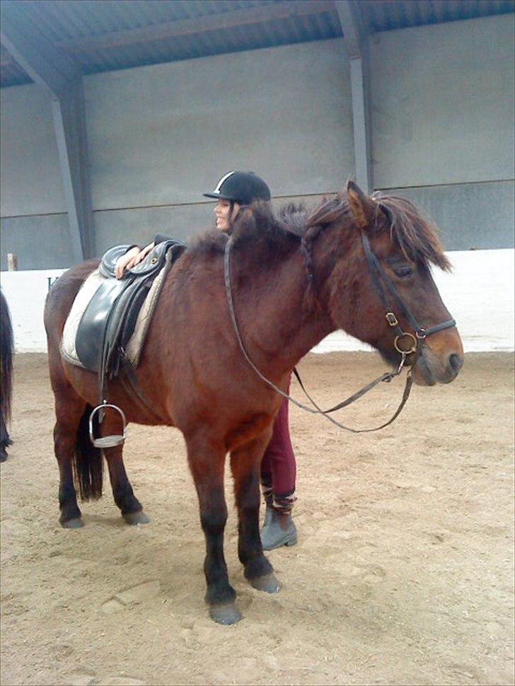 Ridelejr på Vinkærgård :) - Kilja, i efterårs ferien :) billede 30