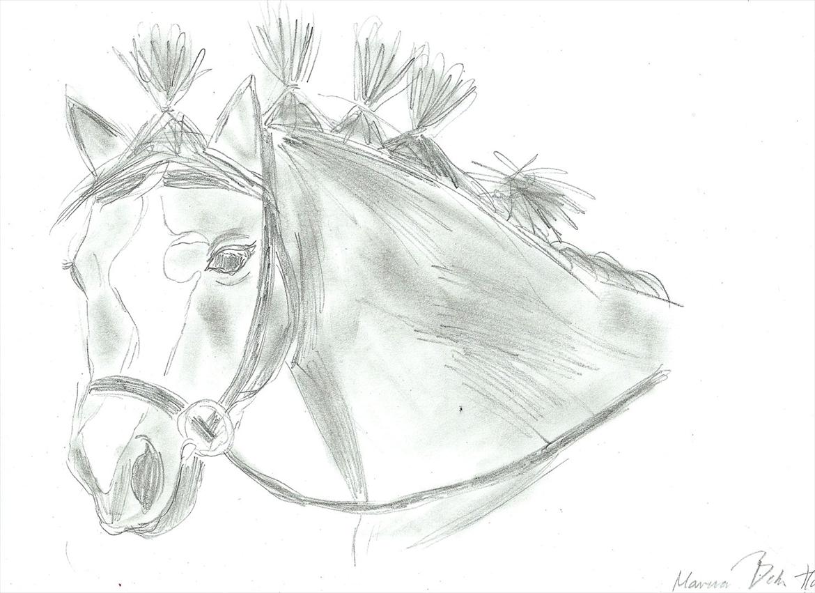 Tegninger :D   - Tegning til Louise&Indian Pride-Team Enggaarden- , :) 
Tegnet lørdag d. 13. august 2011 billede 196