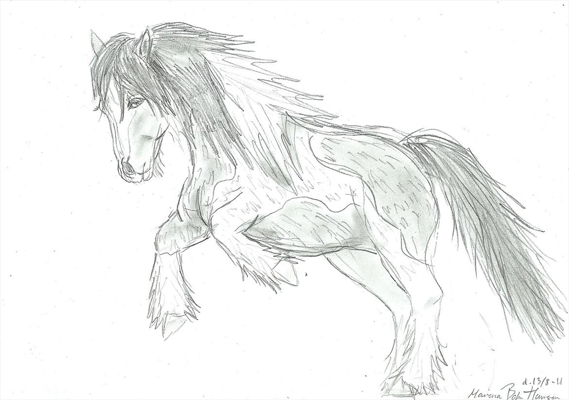 Tegninger :D   - Tegning til connie C :)
Tegnet lørdag d. 13. august 2011
 billede 195