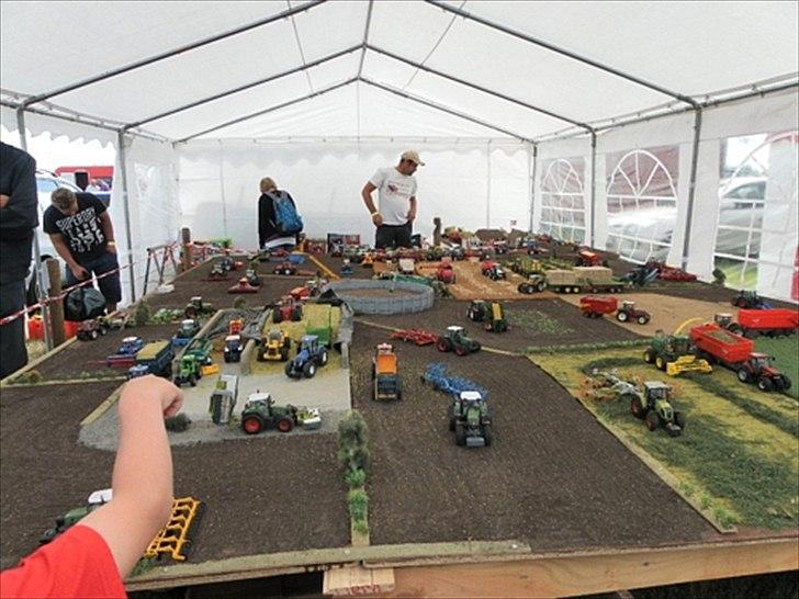 Aulum dyrskue. billede 5