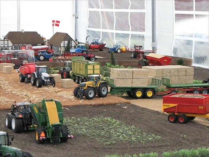 Aulum dyrskue. billede 6