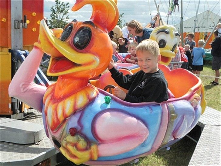 Aulum dyrskue. billede 7