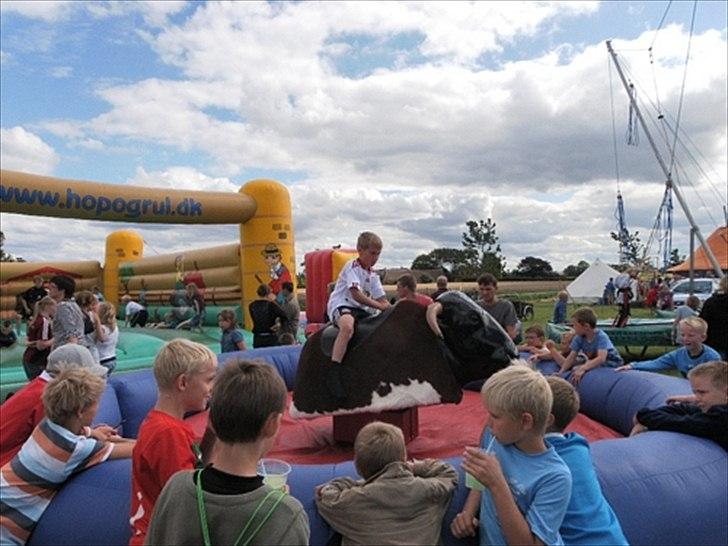 Aulum dyrskue. billede 8