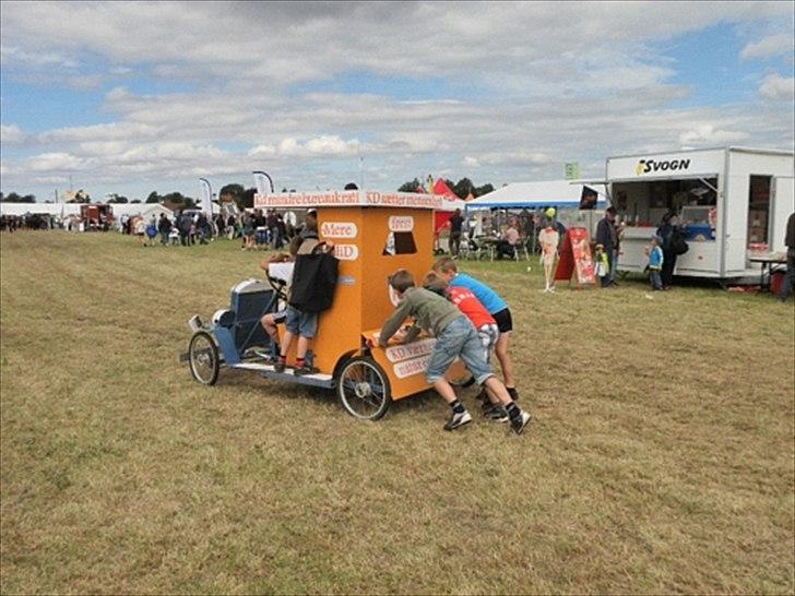 Aulum dyrskue. billede 12