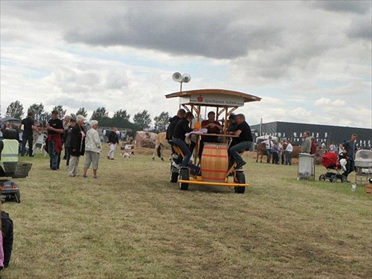 Aulum dyrskue. billede 25