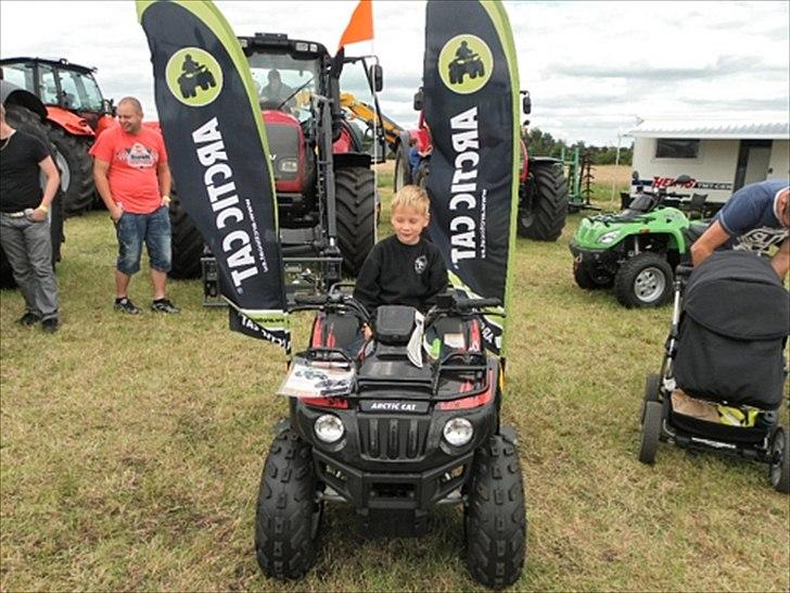 Aulum dyrskue. billede 43