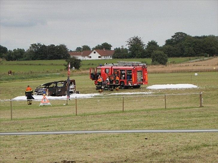 Aulum dyrskue. billede 54