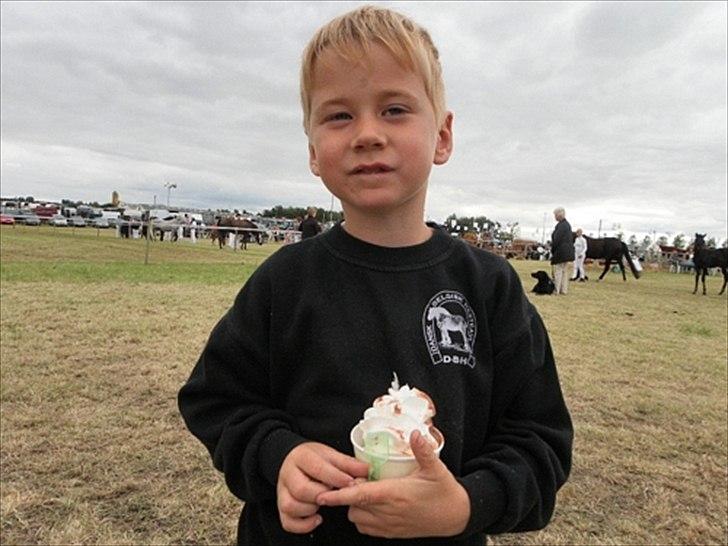 Aulum dyrskue. billede 56