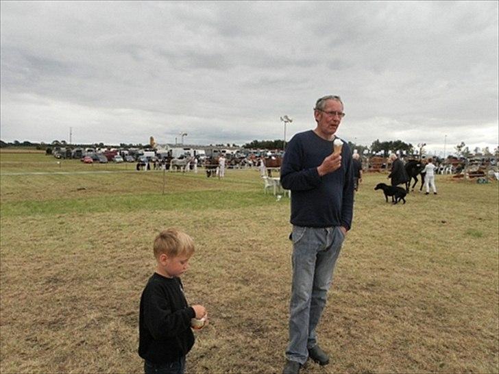 Aulum dyrskue. billede 57