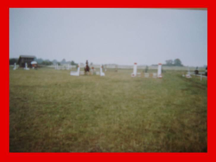 Midtjysk ridelejr 07 - Springstævne på den udendørs springbane (undskyld billed kvaliteten. Det er nemlig et billede der er taget af et billede)... billede 9