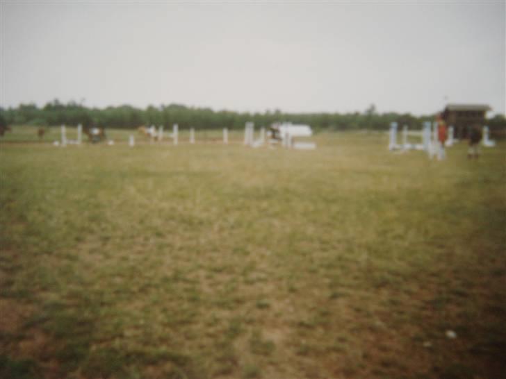 Midtjysk ridelejr 07 - Her er et billede af springbanen! Der går man ud efter ridetimen, og snakker og græsser med hestene. Det er bare hygge! (undskyld billed kvaliteten. Det er nemlig et billede der er taget af et billede)... billede 11