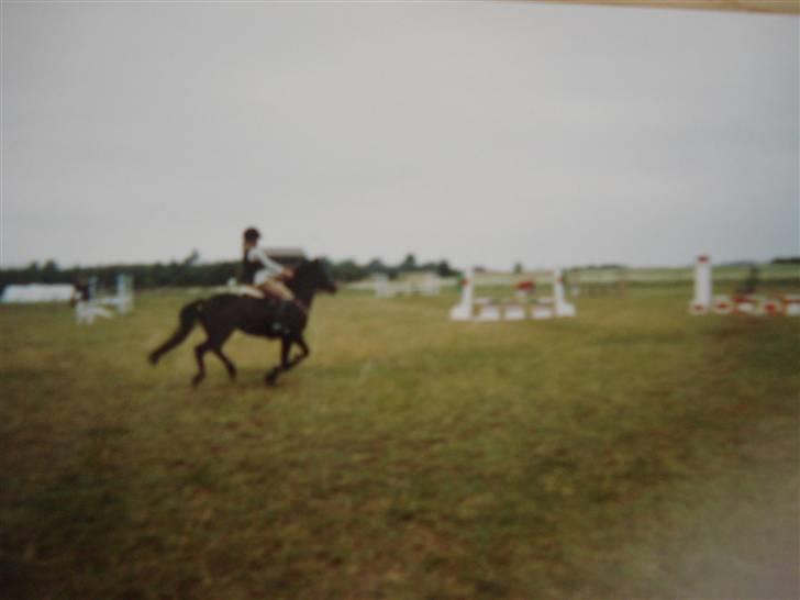 Midtjysk ridelejr 07 - Så er det i fuld galop! (undskyld billed kvaliteten. Det er nemlig et billede der er taget af et billede)... billede 12