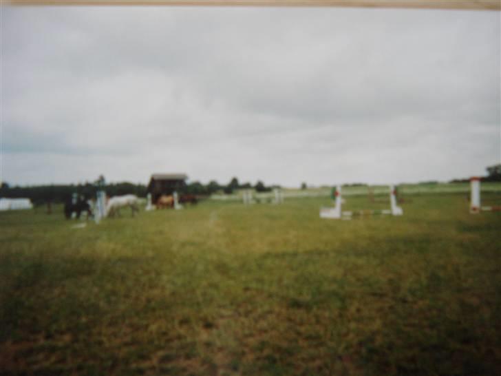 Midtjysk ridelejr 07 - Her er der hygge på springbanen! (undskyld billed kvaliteten. Det er nemlig et billede der er taget af et billede)... billede 13