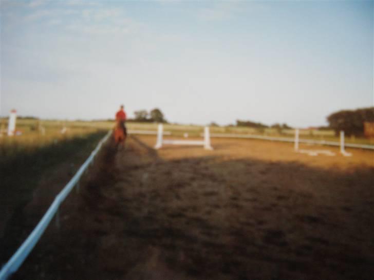 Midtjysk ridelejr 07 - Her er der seriøs dressur, på den udendørs ridebane! (undskyld billed kvaliteten. Det er nemlig et billede der er taget af et billede)... billede 14