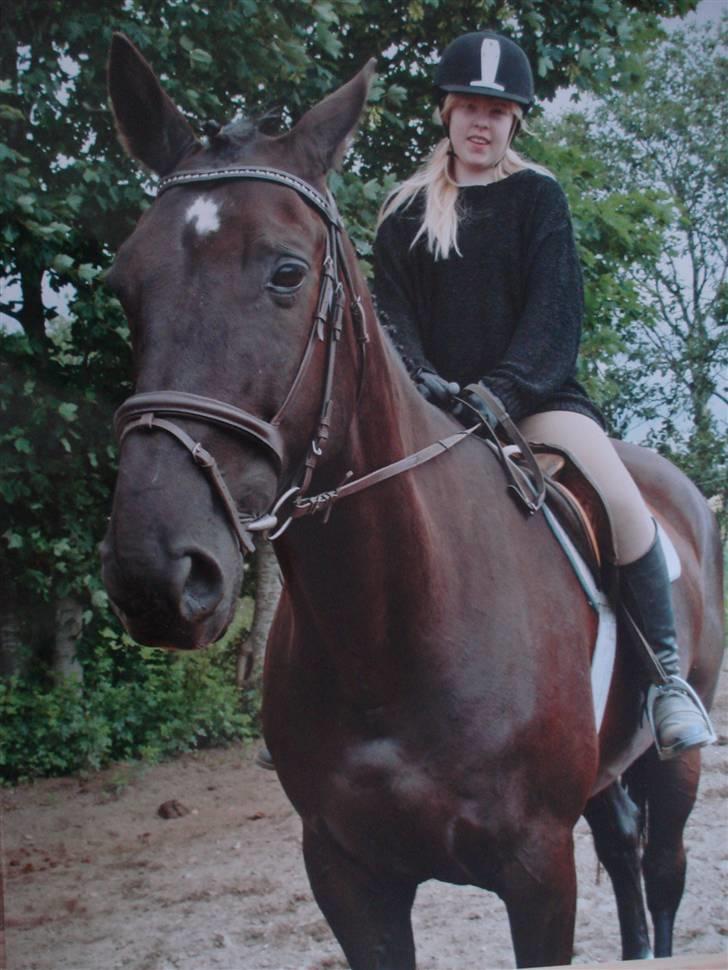 Midtjysk ridelejr 07 - Mig og Winston igen;o).. (DETTET BILLEDE MÅ UNDER INGEN OMSTÆNDIGHEDER KOPIERES!) billede 17