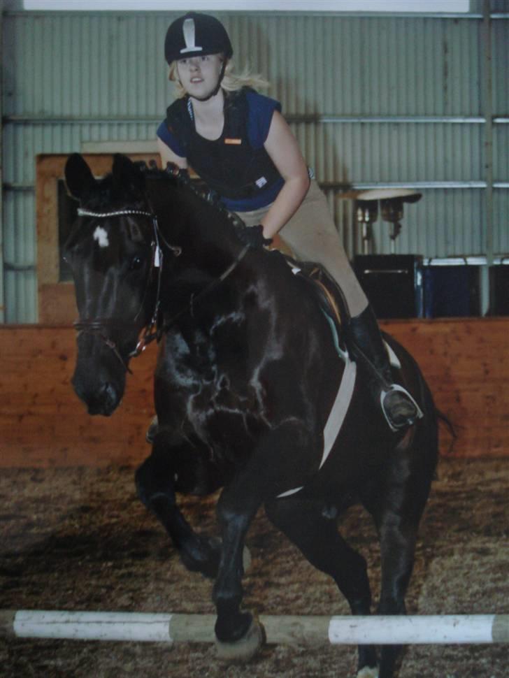 Midtjysk ridelejr 07 - Her springer jeg på Winston i den indendørs ridehal. Jeg faldt desværre af, da jeg mistede min højre bøjle, og måtte ride uden bøjler. Det gik fint, lige indtil han lavede elevator spring på okseren! Ja så kunne jeg ikke holde fast mere. Godt nok blev jeg diskvalifiseret, men jeg gennemførte da banen ;o)...  (DETTET BILLEDE MÅ UNDER INGEN OMSTÆNDIGHEDER KOPIERES!) billede 18