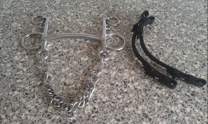 Mit udstyr til hestene. - Pelhambid. billede 73