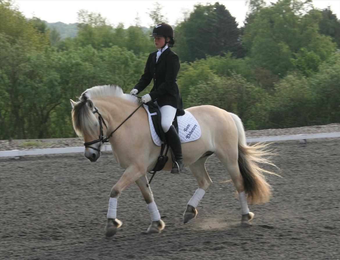 Ringsted sports rideklub Maj 2011 billede 2