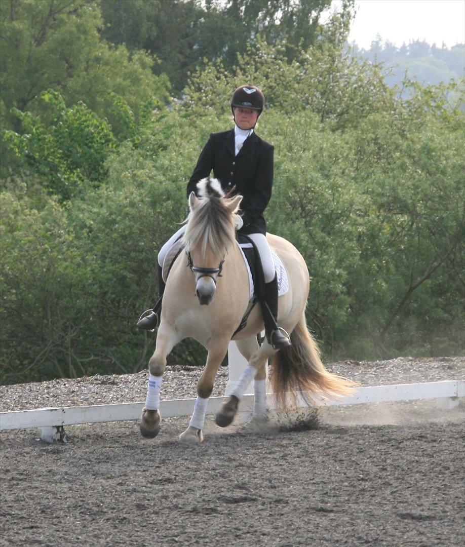 Ringsted sports rideklub Maj 2011 billede 4