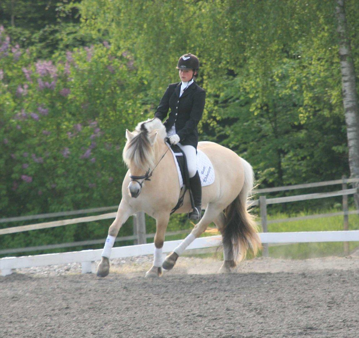 Ringsted sports rideklub Maj 2011 billede 5