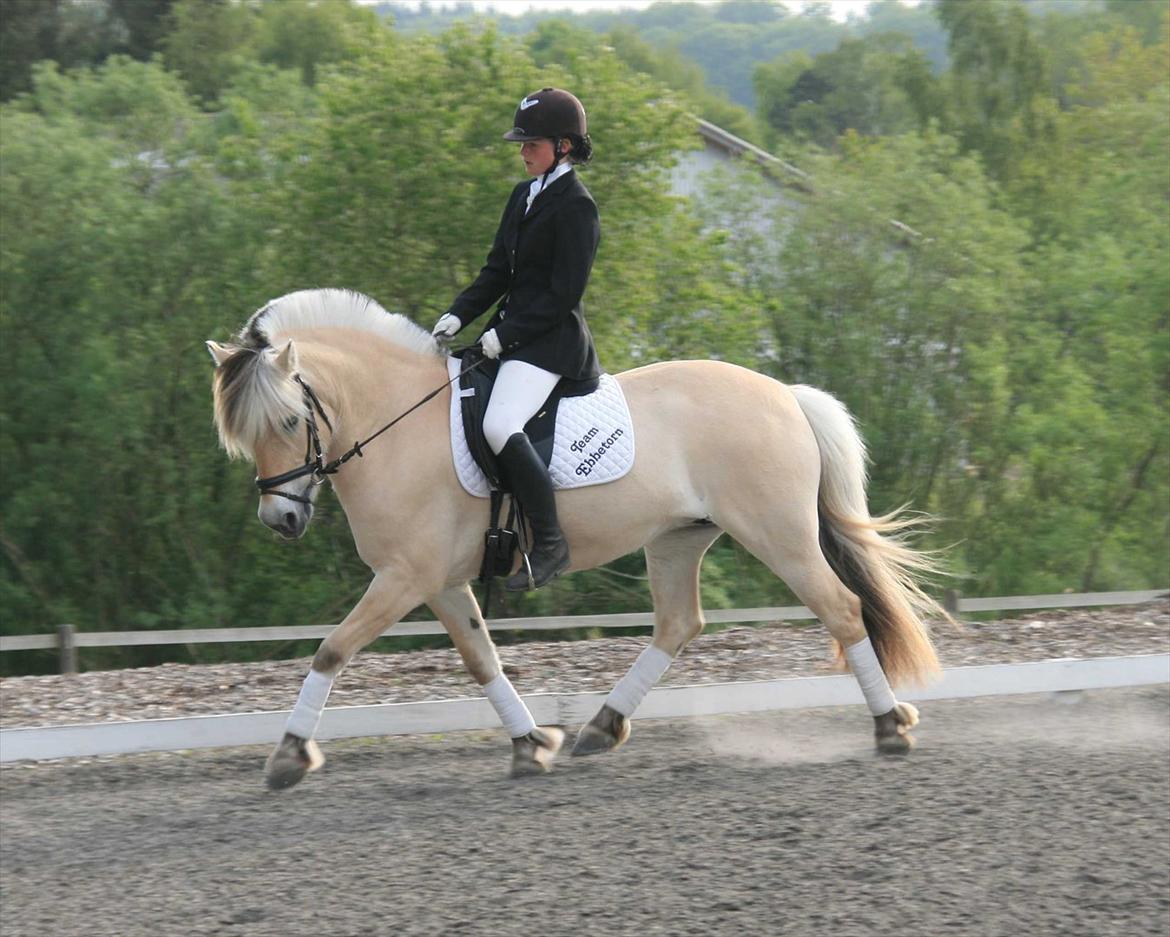 Ringsted sports rideklub Maj 2011 billede 6