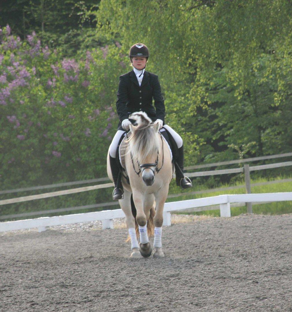 Ringsted sports rideklub Maj 2011 billede 8