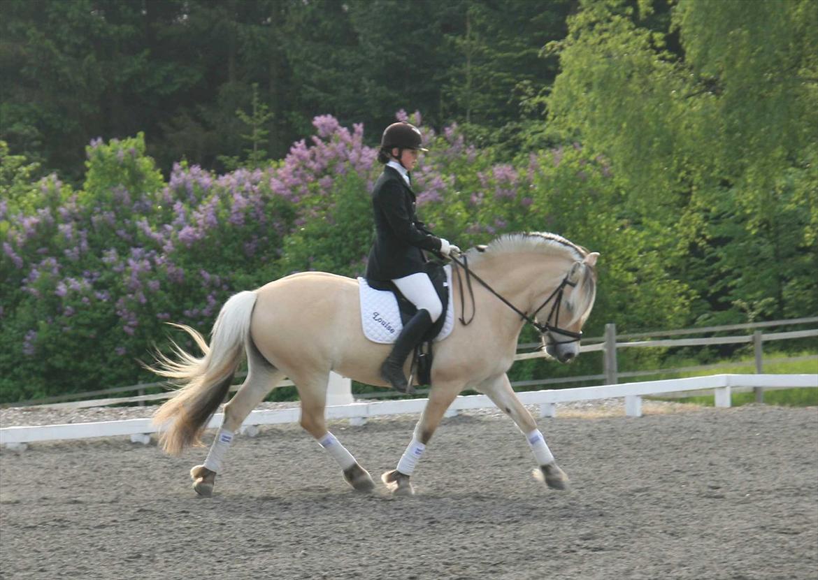 Ringsted sports rideklub Maj 2011 billede 9