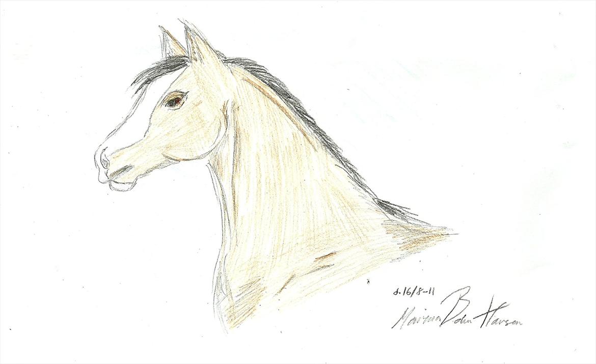 Tegninger :D   - Tegnet til en aktivitet tirsdag :) Den er kun tegnet med farveblyanter dvs. ingen viskelædre, ingen fortryderknap og INGEN SKABELON XDDD 
Tegnet tirsdag d. 16. august 2011 billede 184