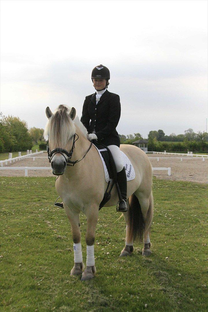 Ringsted sports rideklub Maj 2011 billede 10