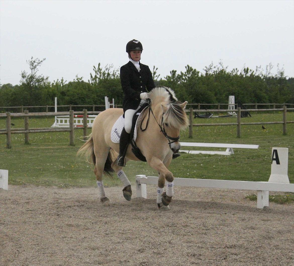 Ringsted sports rideklub Maj 2011 billede 11