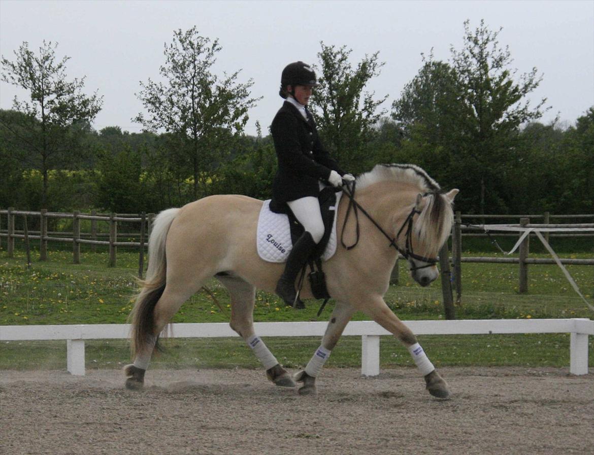 Ringsted sports rideklub Maj 2011 billede 12