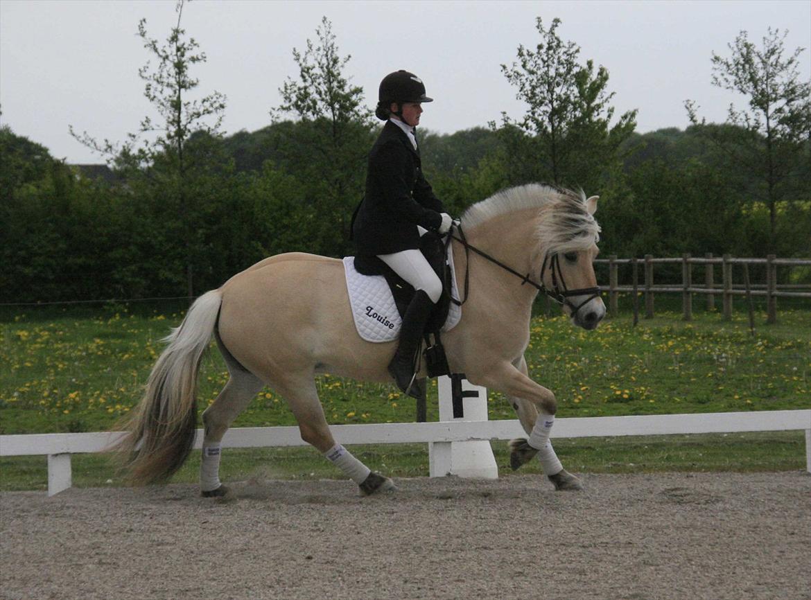 Ringsted sports rideklub Maj 2011 billede 13