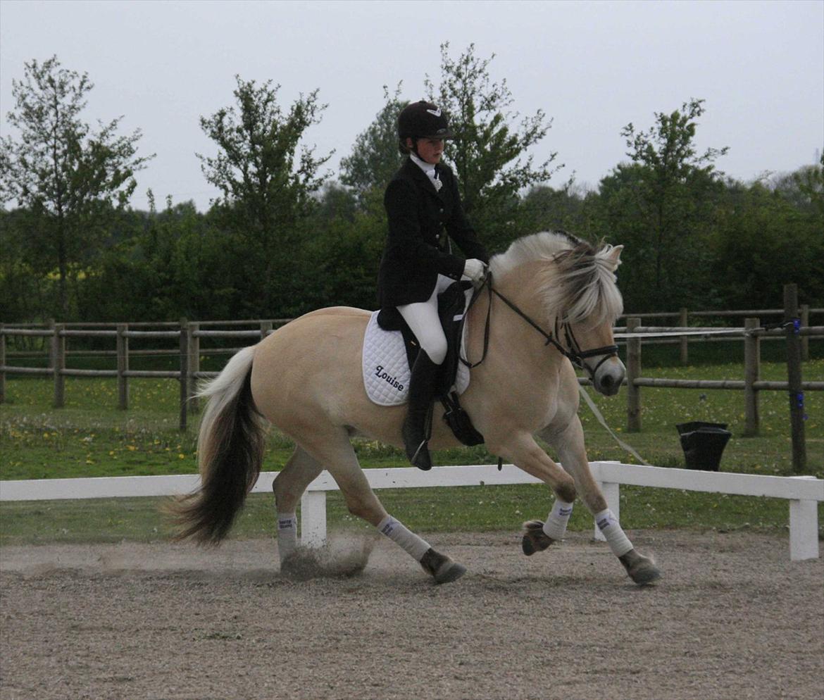 Ringsted sports rideklub Maj 2011 billede 14