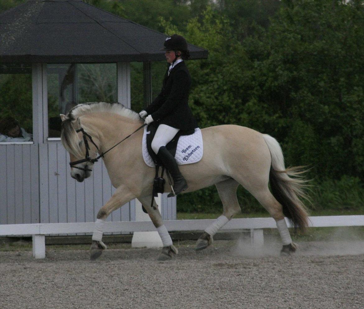 Ringsted sports rideklub Maj 2011 billede 15