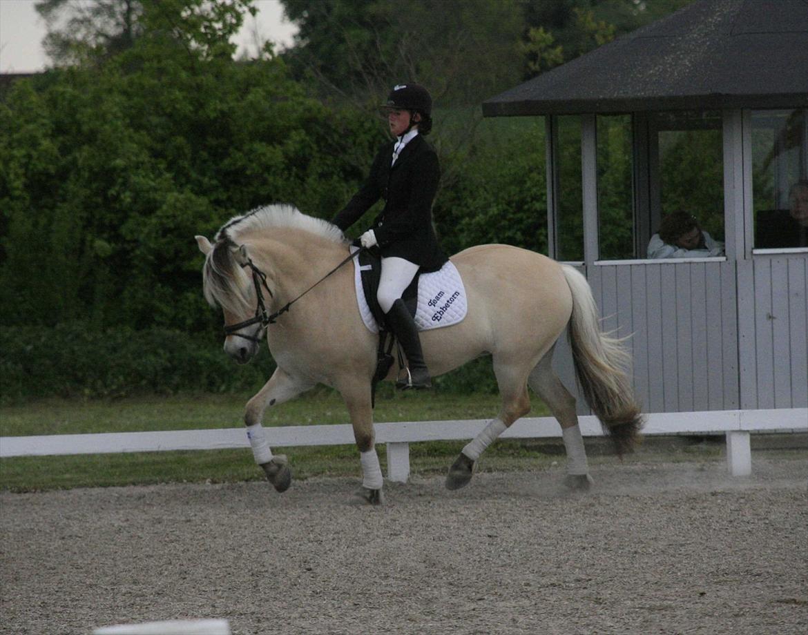 Ringsted sports rideklub Maj 2011 billede 16
