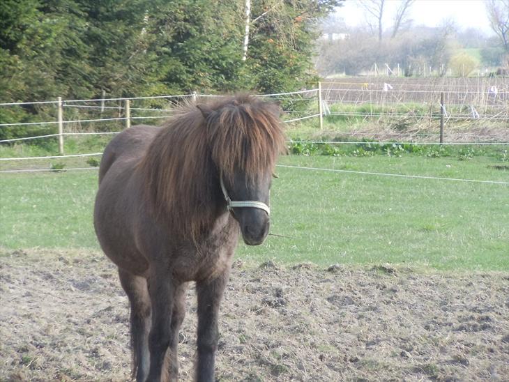 {{currentPhoto.altText}} billede {{currentPhoto.number}}