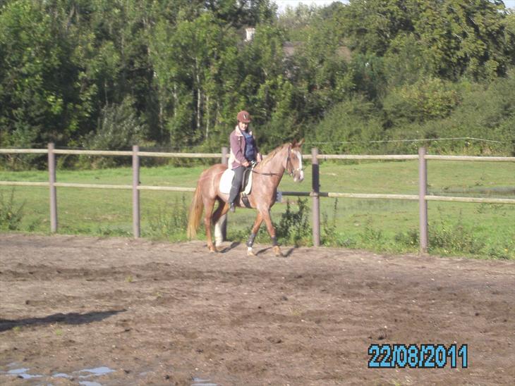 {{currentPhoto.altText}} billede {{currentPhoto.number}}