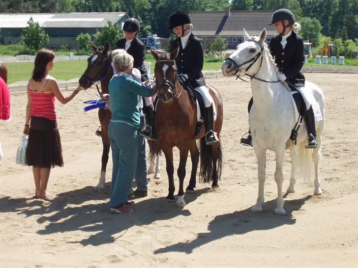 Odsherred rideklub.. - Ja, Noa holdet- nadi og sebe, miver og classer og mig og balle billede 2