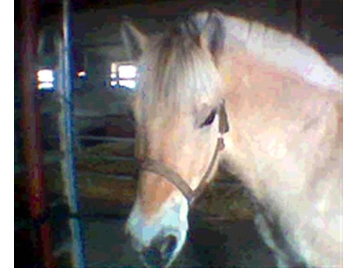 {{currentPhoto.altText}} billede {{currentPhoto.number}}