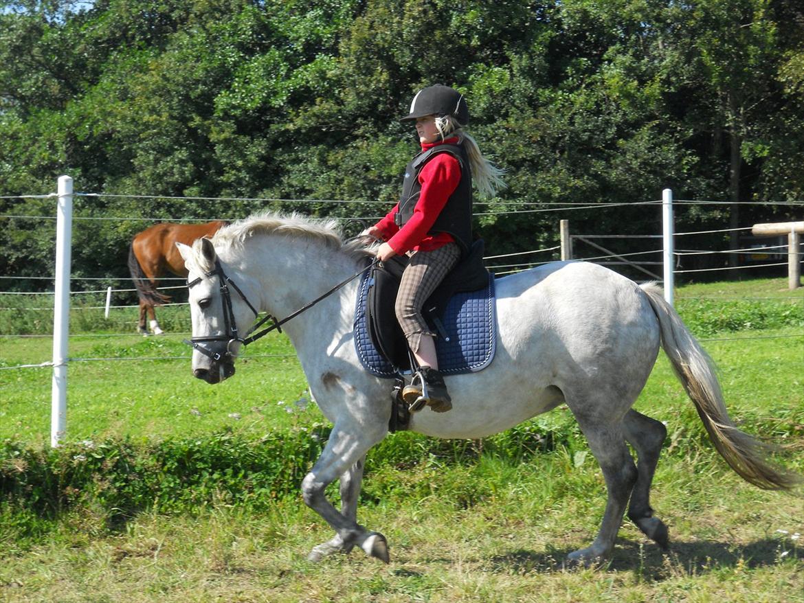 Natasja & Dalens Bella billede 2