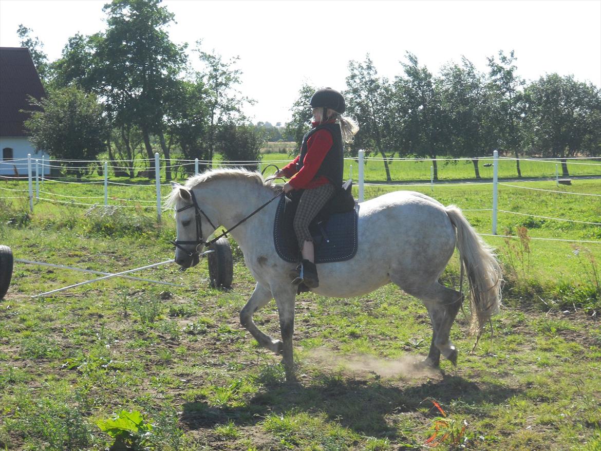 Natasja & Dalens Bella billede 3