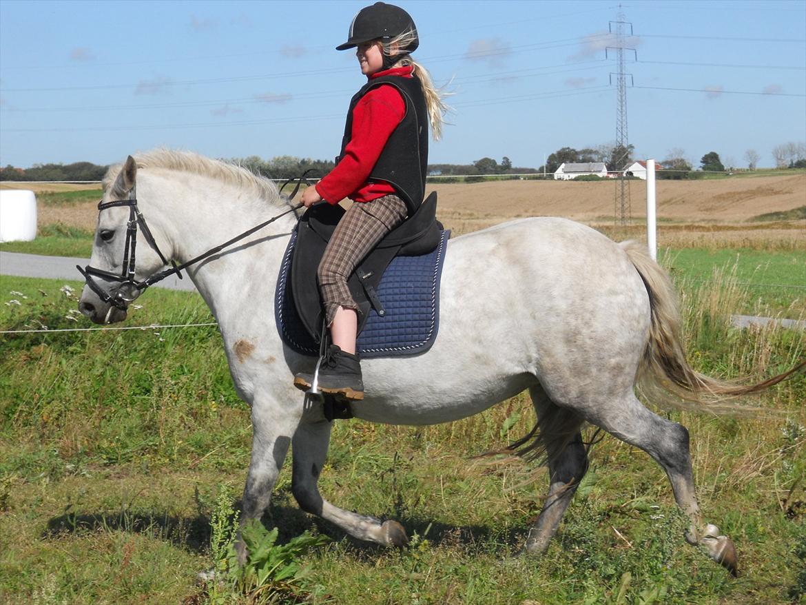 Natasja & Dalens Bella billede 4