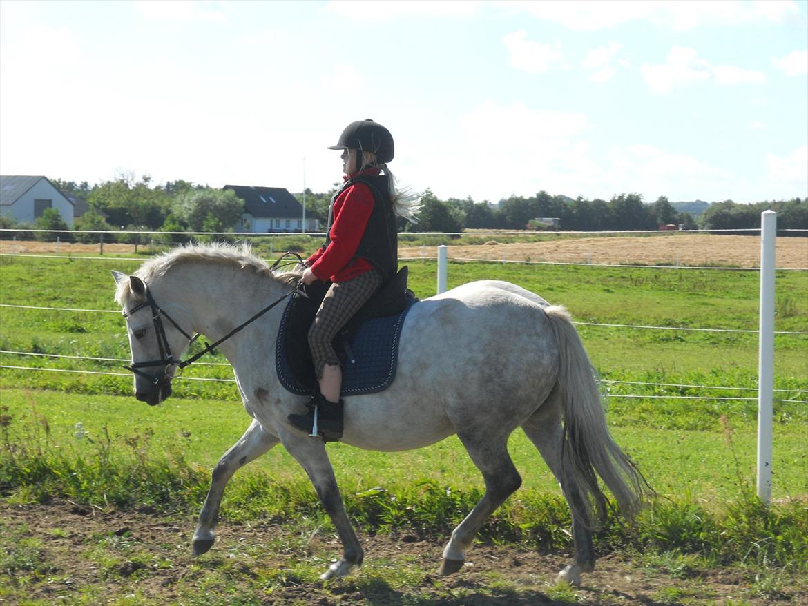 Natasja & Dalens Bella billede 5