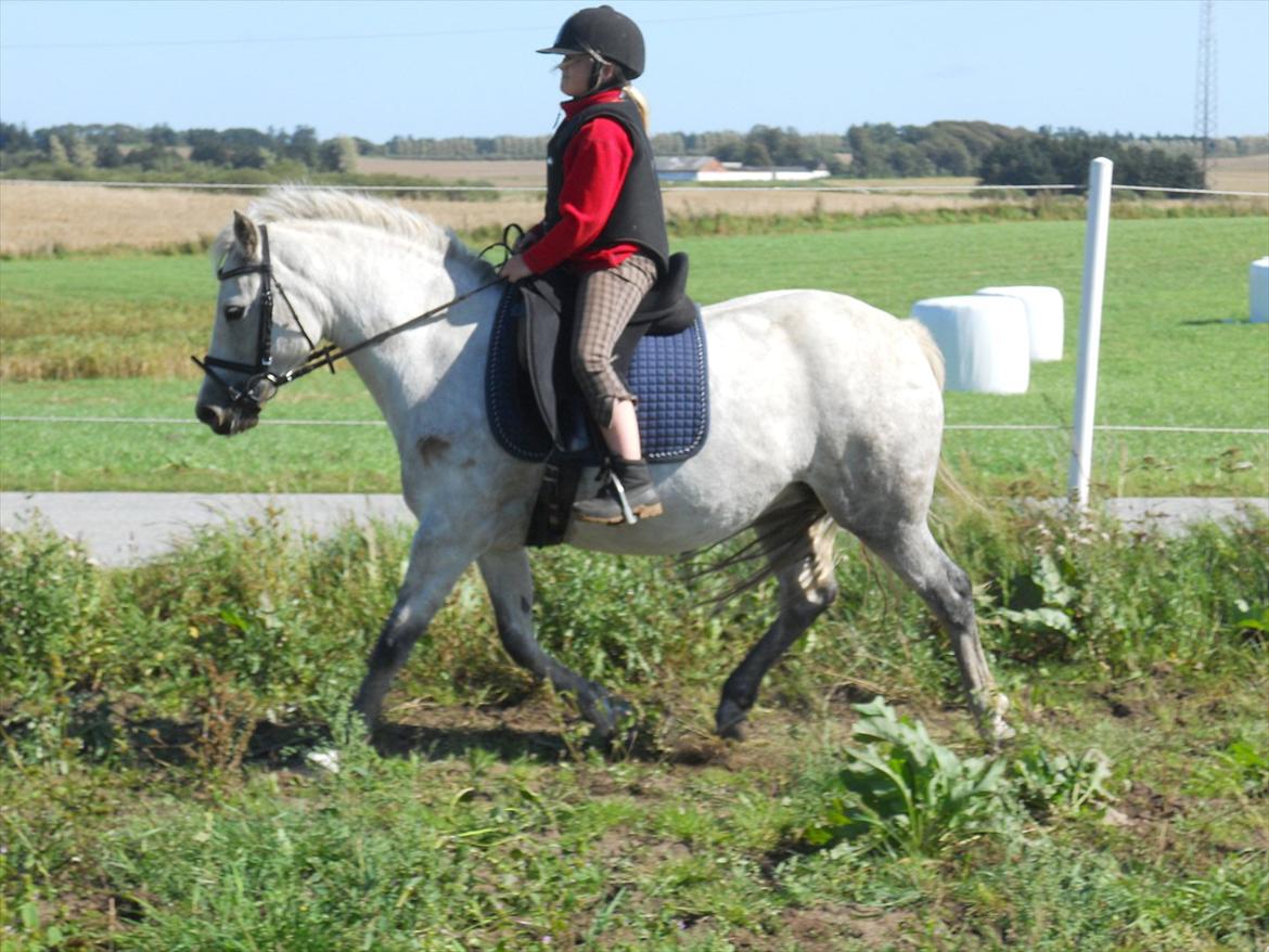 Natasja & Dalens Bella billede 6