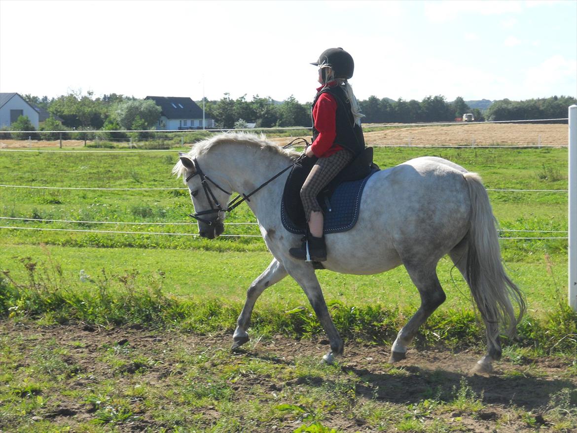 Natasja & Dalens Bella billede 7