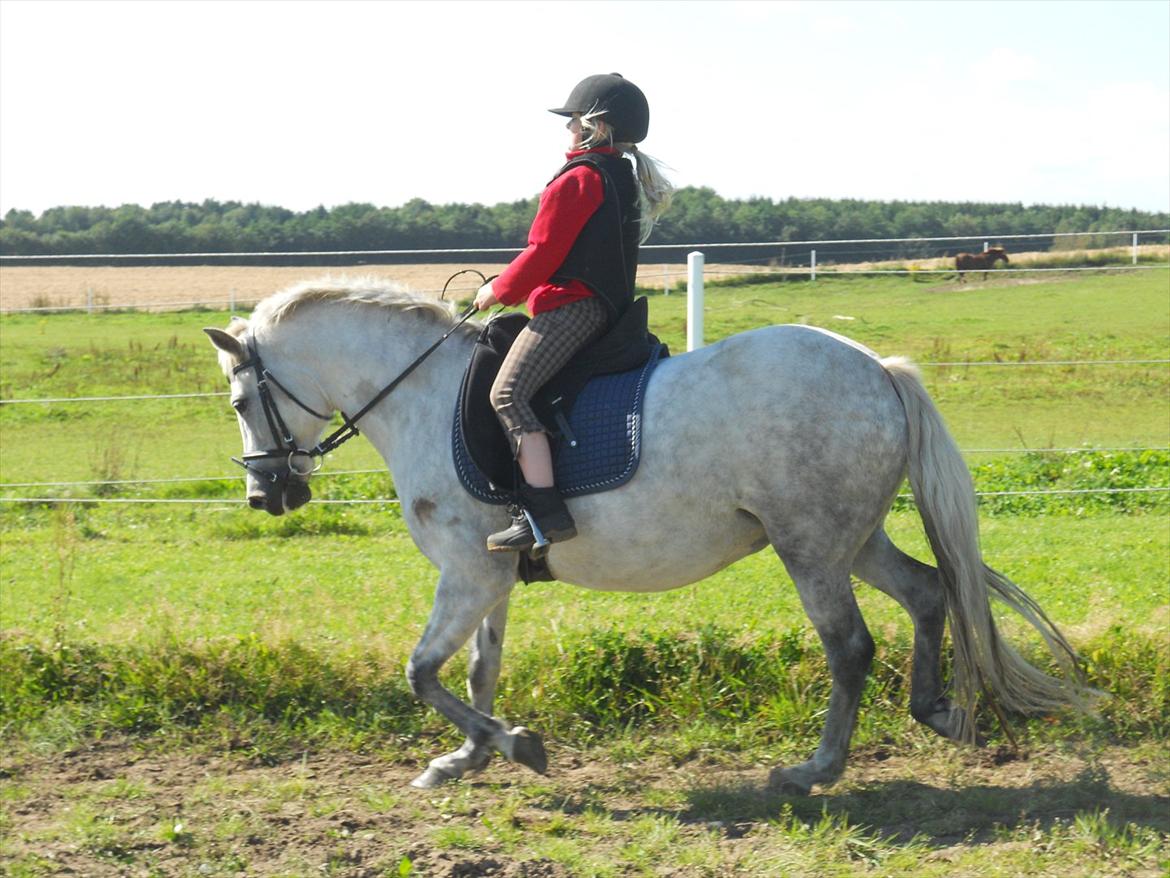 Natasja & Dalens Bella billede 8