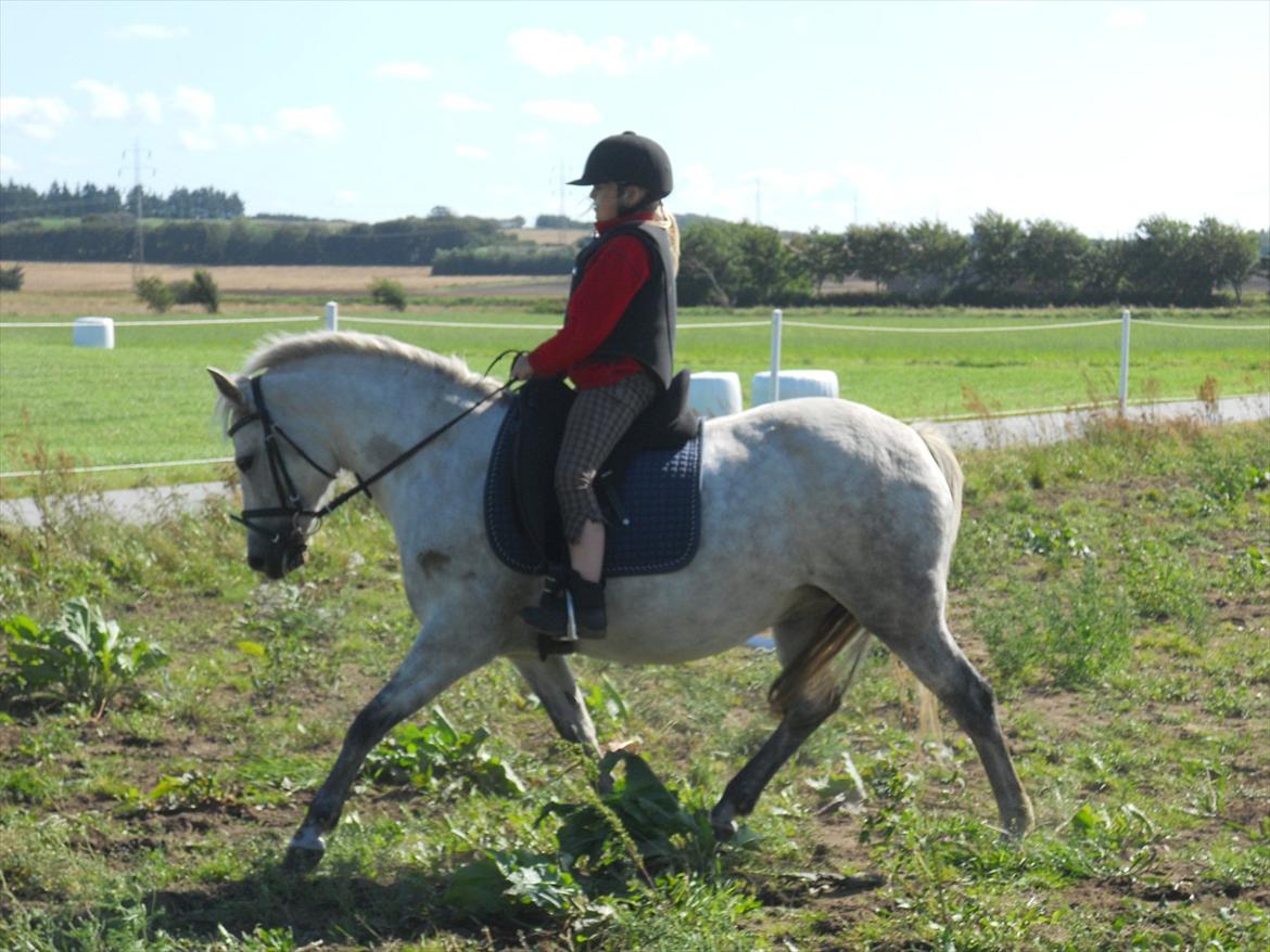 Natasja & Dalens Bella billede 1