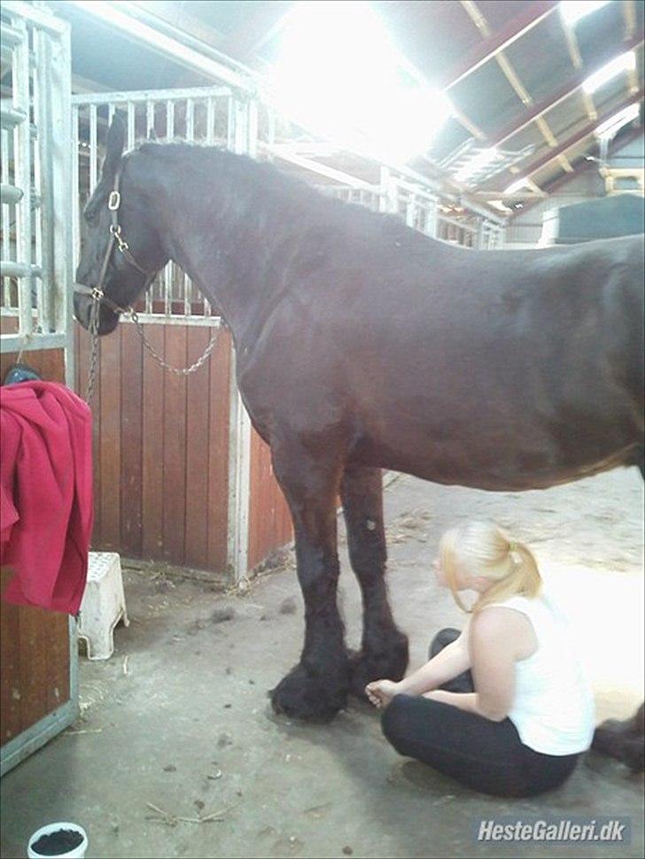 Tegninger :D   - Original billede :) - Zafir & Helene  billede 178