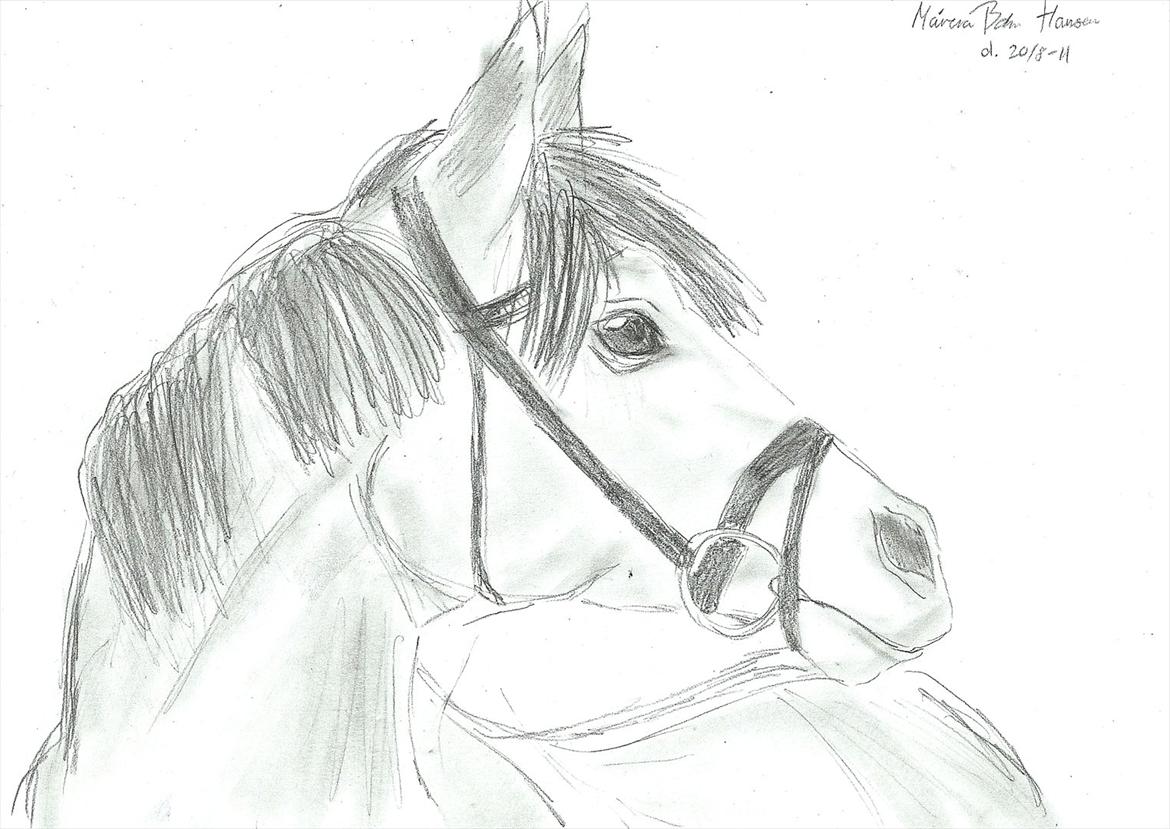 Tegninger :D   - Tegning til Marianne N 
Tegning lørdag d. 20. august 2011 billede 175