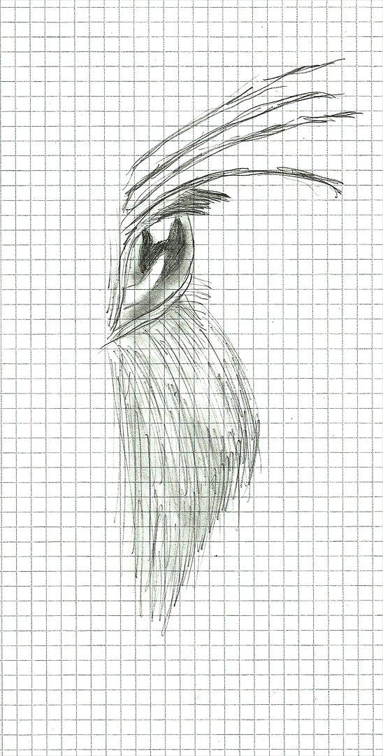 Tegninger :D   - Kanin øje :P 
Tegnet fredag d. 26. august 2011 billede 165